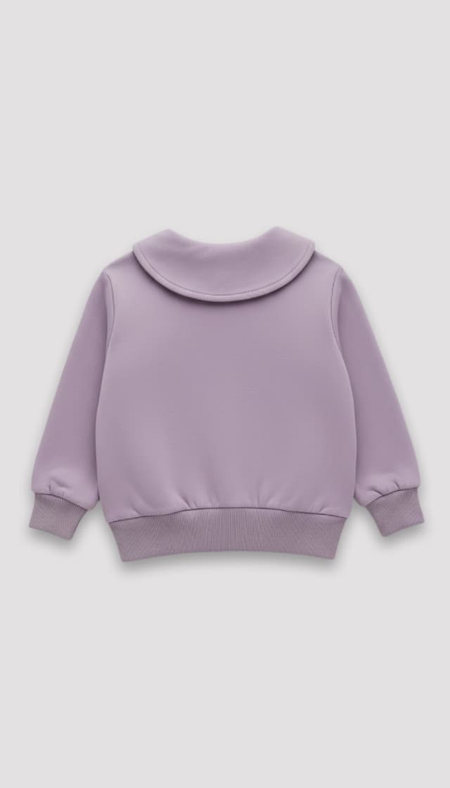 Casual 91% Cotton 9% Polyester Embroidered Peter Pan Collar Sweatshirt thumbnail 2